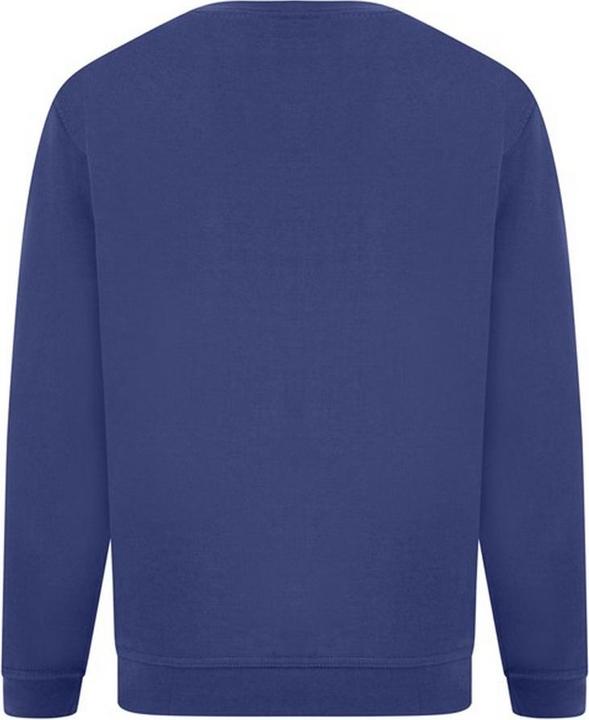 Actual product image Absolute Apparel Sterling jumper (7XL)
