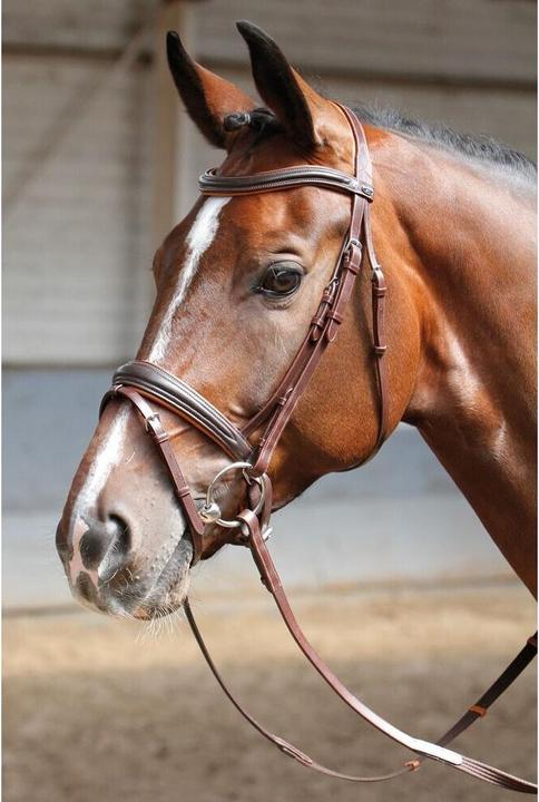 Actual product image Harry's Horse Soft bridles