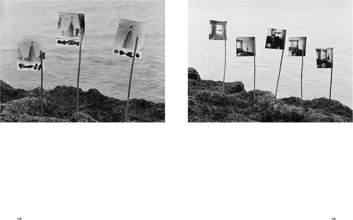 Actual product image Zweite Haut (German, Alfred Weidinger / OÖ LandesKultur, Isolde Perndl / Upper Austrian Provincial Culture, 2024)