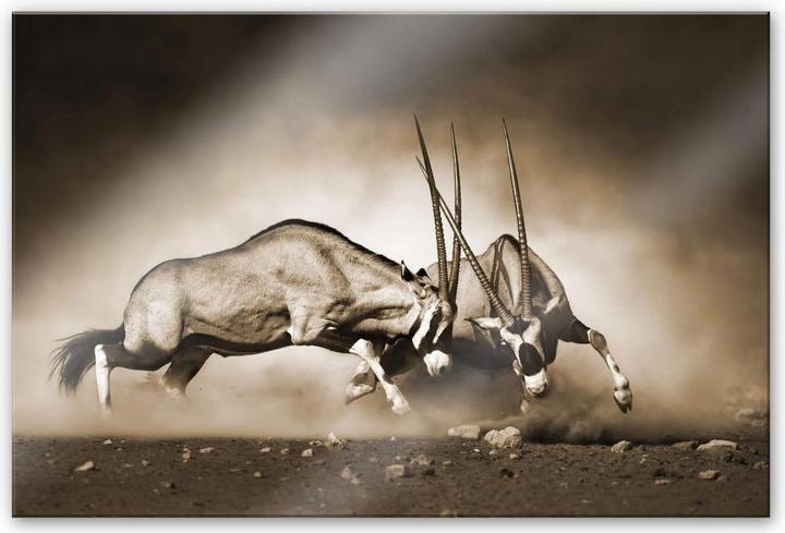 Actual product image Trenddeko The Duel (150 x 100 cm)