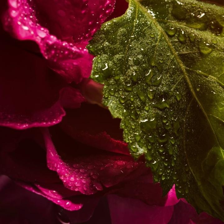 Actual product image Guerlain La Petite Dress Black ABSOLUTE 100ml EdP Spray - New Fall 2023 (Eau de parfum, 100 ml)