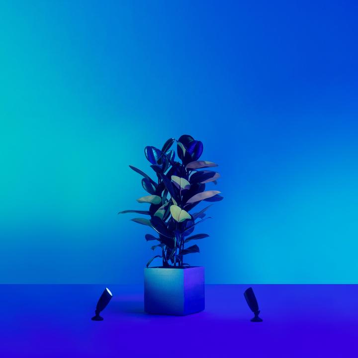 Produktbild WiZ Outdoor Ground Spot Starter (540 lm, IP65)