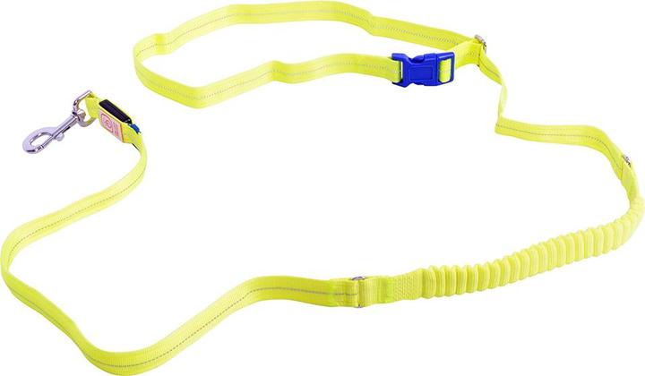 Duvoplus Dog training leash (1.5, Dog, Walks)