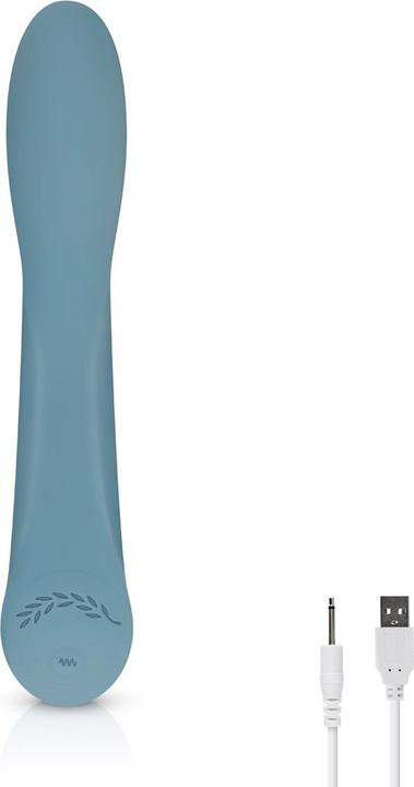 Actual product image Bloom Rose