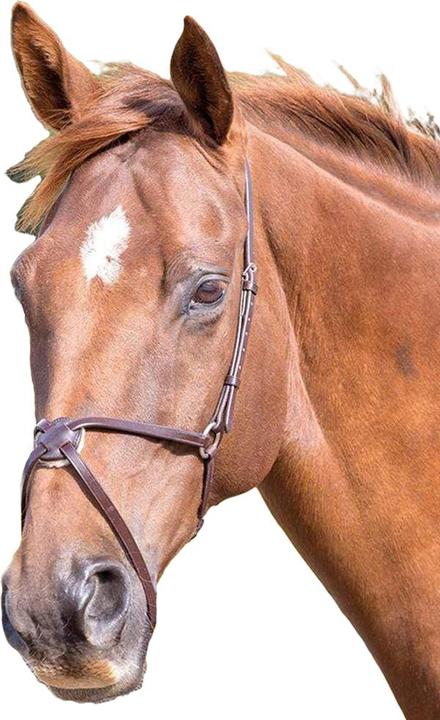 Image du produit Universal Textiles Muserolle en cuir mexicain