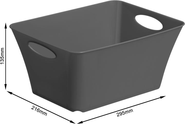 Actual product image Rotho Living (21.6 x 13.5 x 29.5 cm, 5 l)