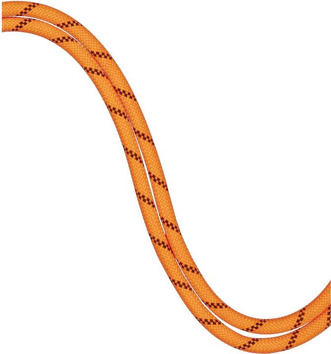 Produktbild Mammut 8.7 Alpine Sender Dry Rope (40 m)