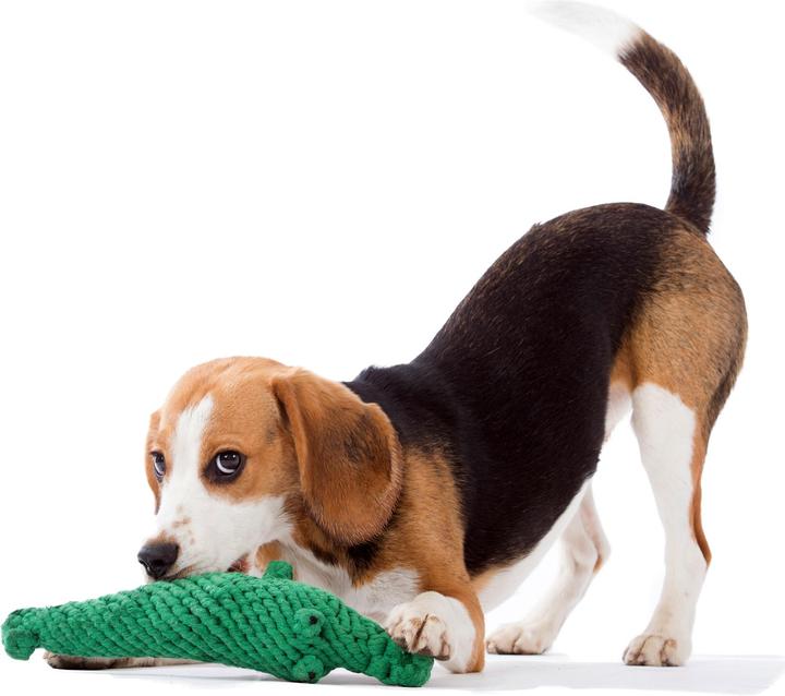 Produktbild Laboni Kalli Krokodil (Apportieren, Kauspielzeug Hund, Wurfspielzeug Hund)