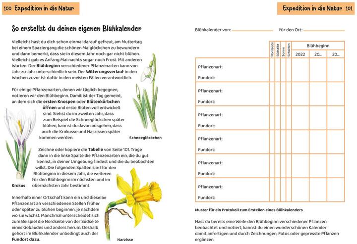 Actual product image Kosmos Was blüht denn da? Kindernaturführer (German, Heike Herrmann, Ursula Stichmann-Marny, 2022)