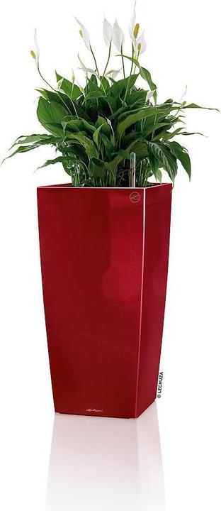 Produktbild Lechuza Cubico (22 cm)