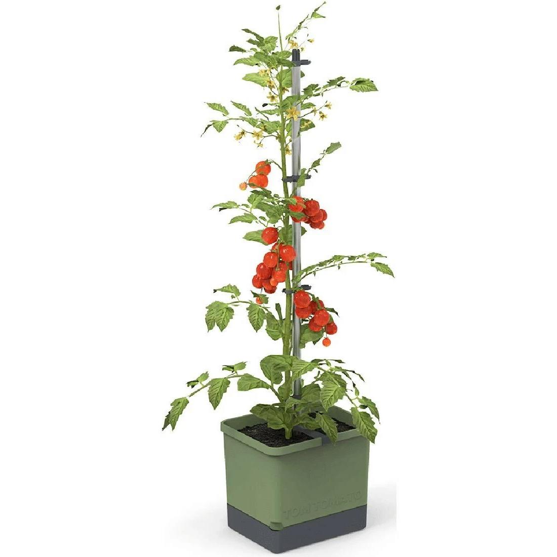 Gusta Garden, Blumentopf, Tom Tomato (35 cm)