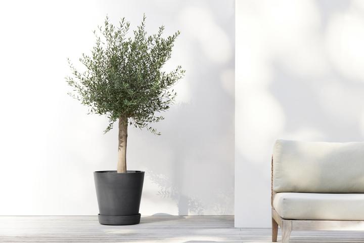 Produktbild Ecopots Saucer on Wheels