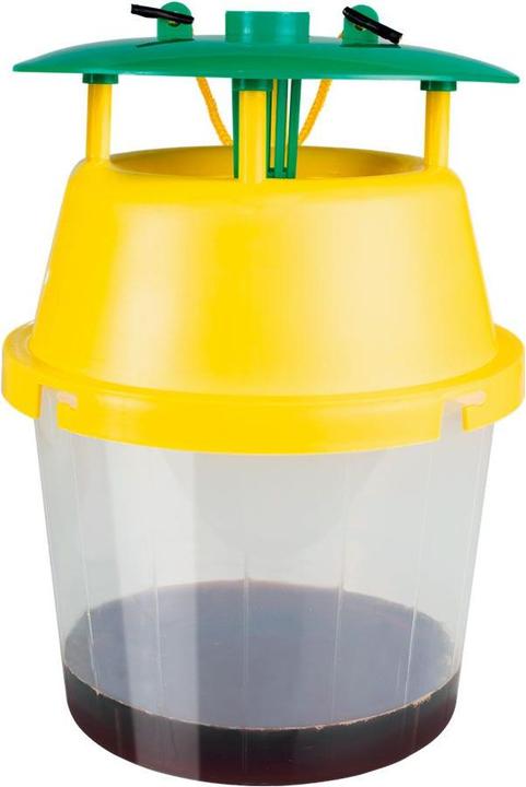 Actual product image Massó Avispa Velutina Masso