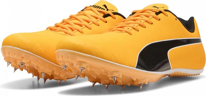 Image du produit Puma evoSPEED Sprint 14.5 (45)