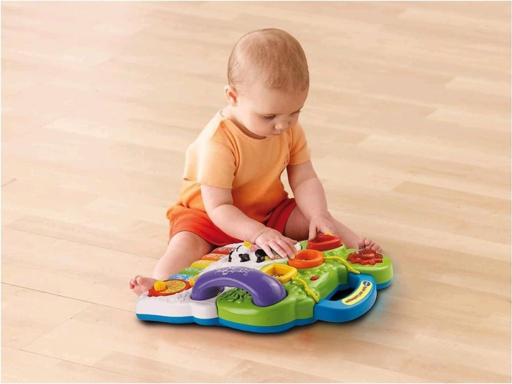 Actual product image VTech Play carriages and trolleys (DE)