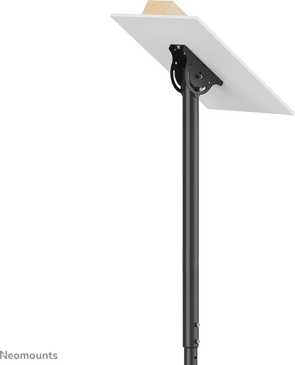 Actual product image Neomounts CL35-340BL22 (Ceiling, 42", 45 kg)