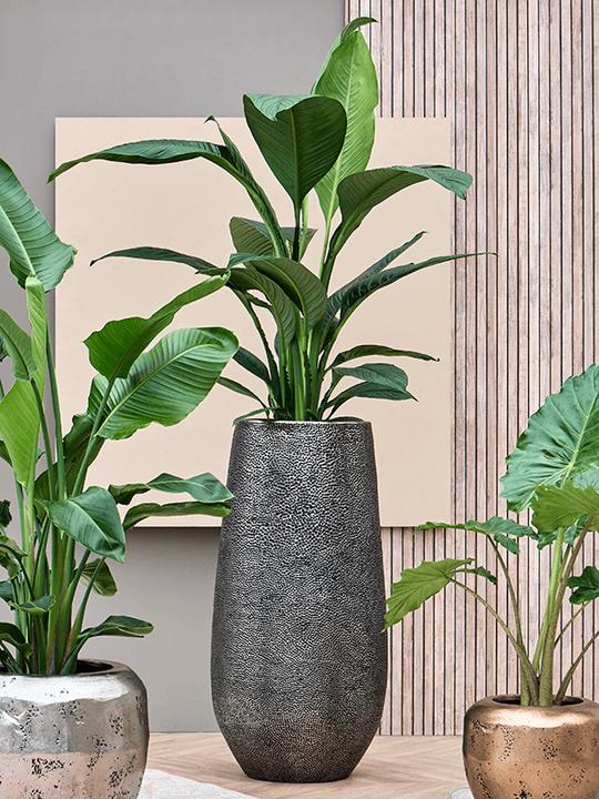 Produktbild Baq Design Opus Hit Darcy (46 x 100 cm)