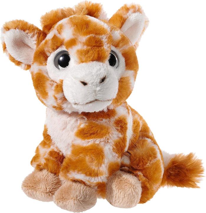 Weiss, Hellbraun, Braun