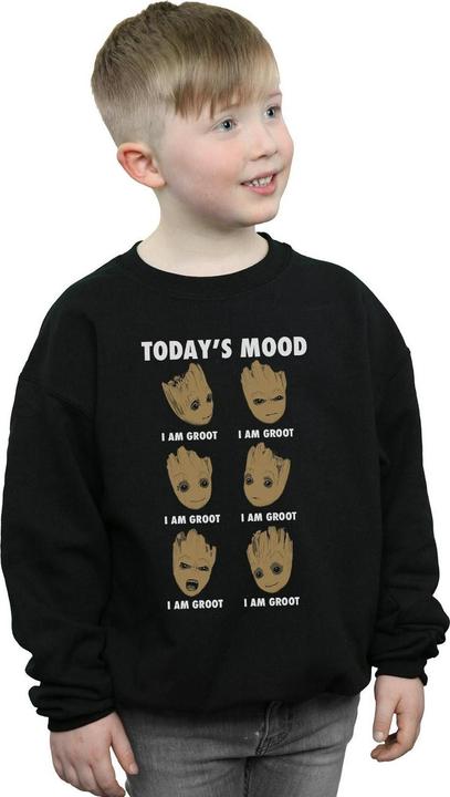 Actual product image Boys Guardians Of The Galaxy Groot Today's Mood Sweatshirt (140, 146)
