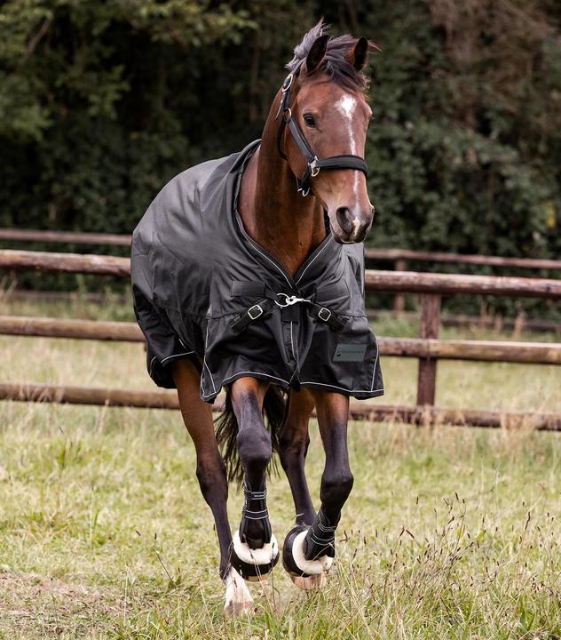 Actual product image Waldhausen Scandic 250/100g (125 cm)