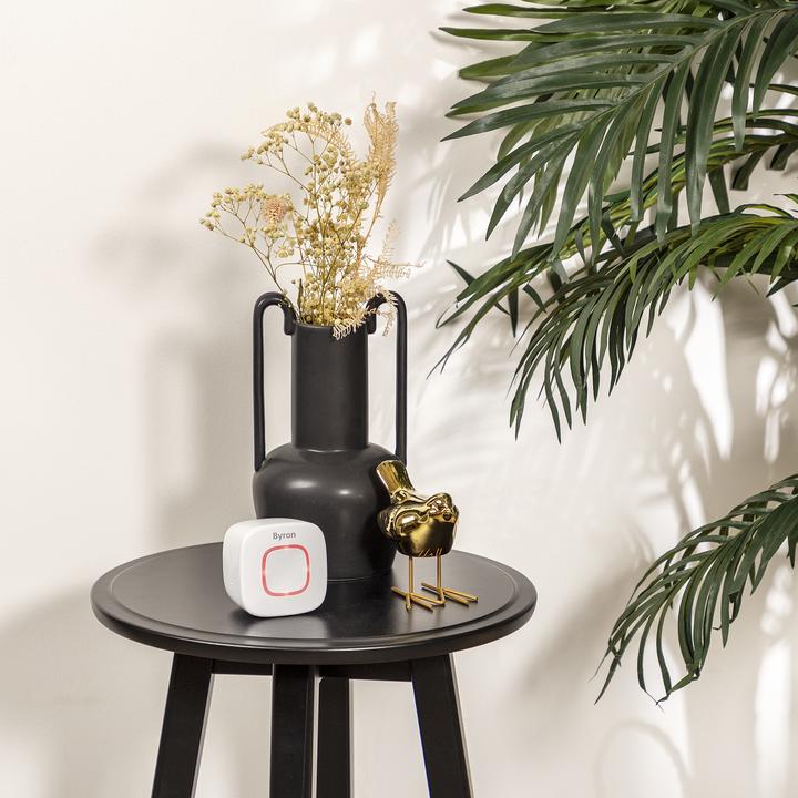 Actual product image Byron Radio Doorbell Radio Doorbell Set (Funk)