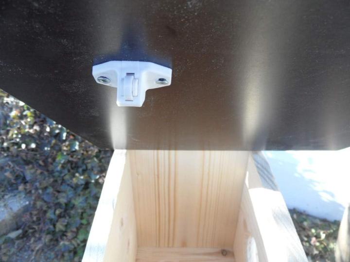 Produktbild Arbrikadrex Eichhörnchenfutterhaus