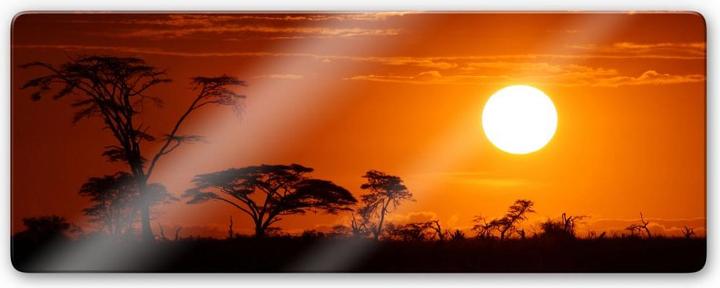 Trenddeko Afrikanische Steppe Panorama