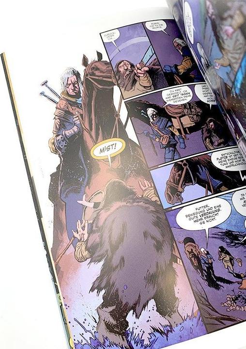 Actual product image Panini The Witcher 01. Im Glashaus (German, Paul Tobin, 2014)