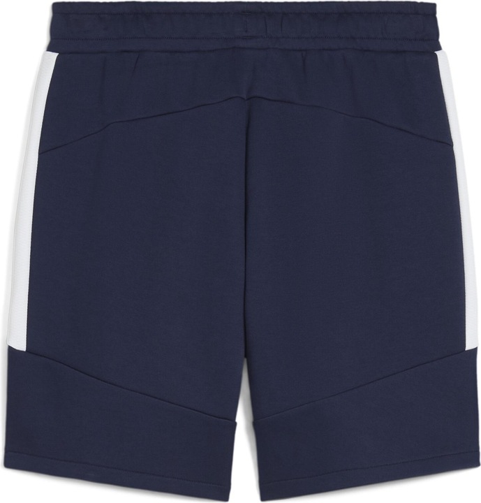 Actual product image Puma teamEVOSTRIPE Shorts (S)