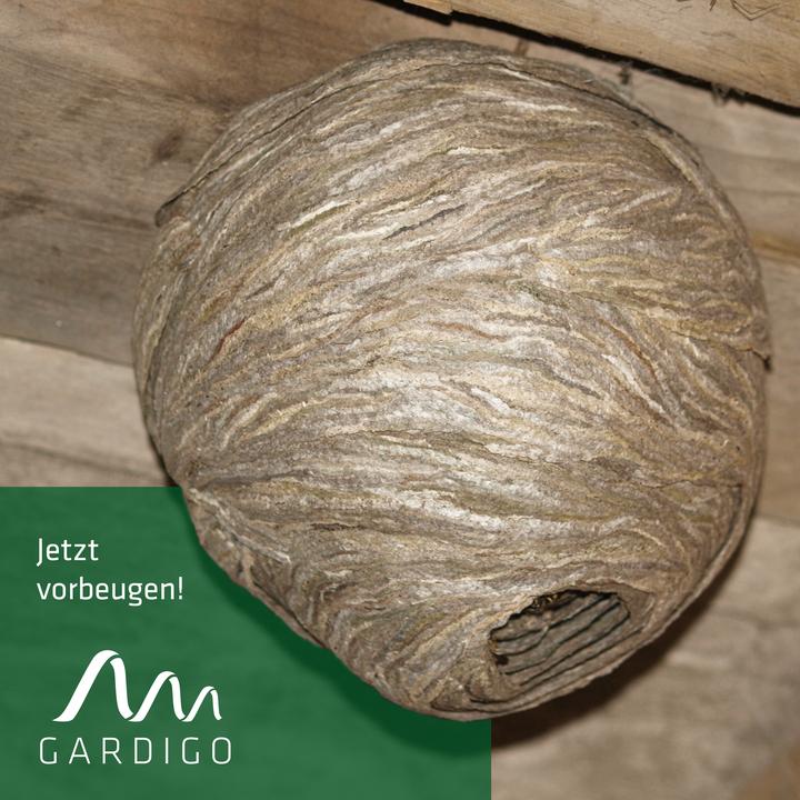 Produktbild Gardigo Wespennest-Attrappe