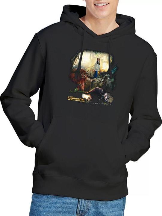 Image du produit Kapuzenpullover (XL)