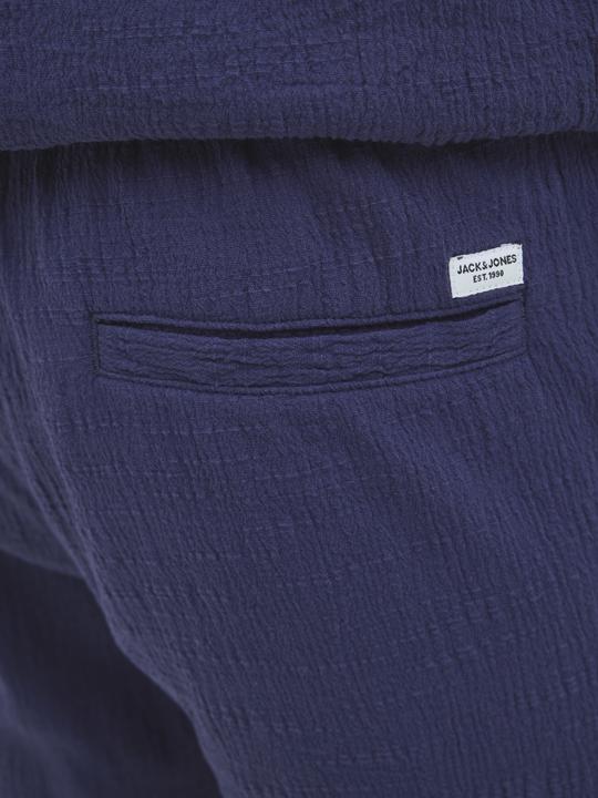 Actual product image Jack & Jones Jogger Fit Shorts Shorts (M)