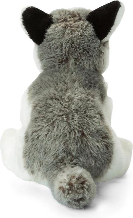 Produktbild WWF Husky (23 cm)