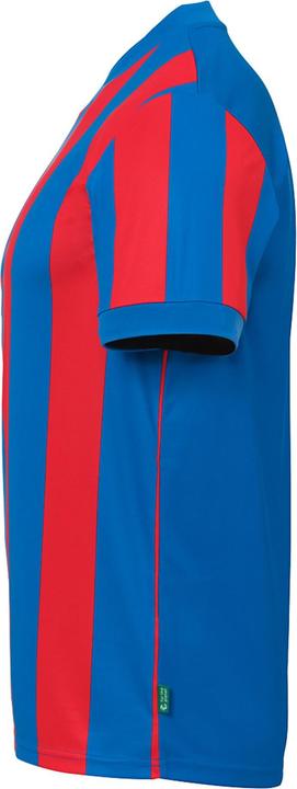 Actual product image Uhlsport Retro Stripe (XL)