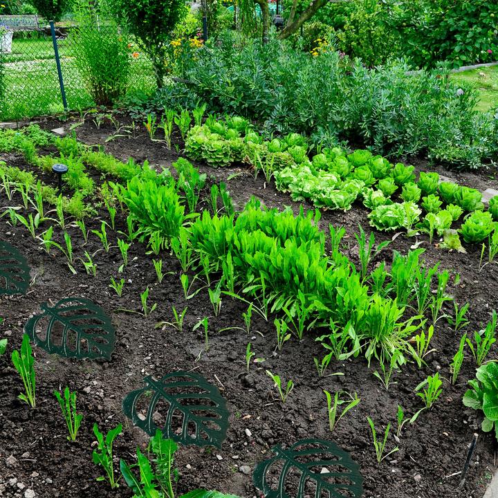 Image du produit Relaxdays Tapis circuit (60 x 60 x 1 cm)