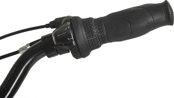 Produktbild Hollandia Hollandrad Damen 28" City Next RH 50 cm 6 Gänge (50 cm)