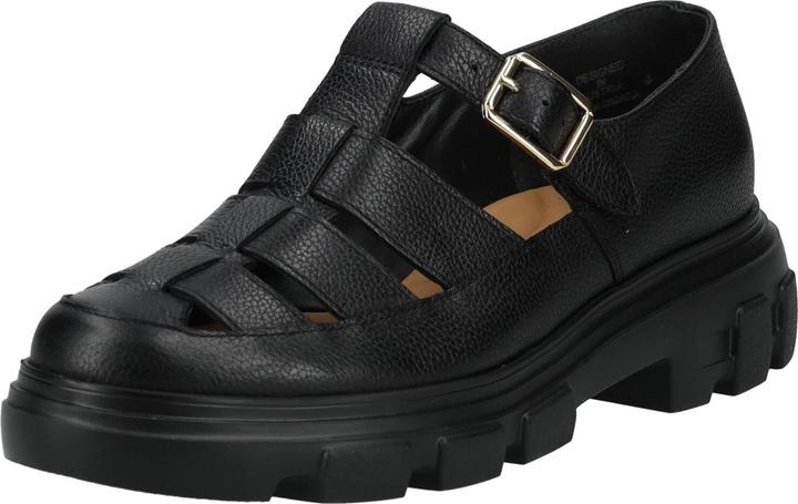 Maincalf Black 049, Schwarz