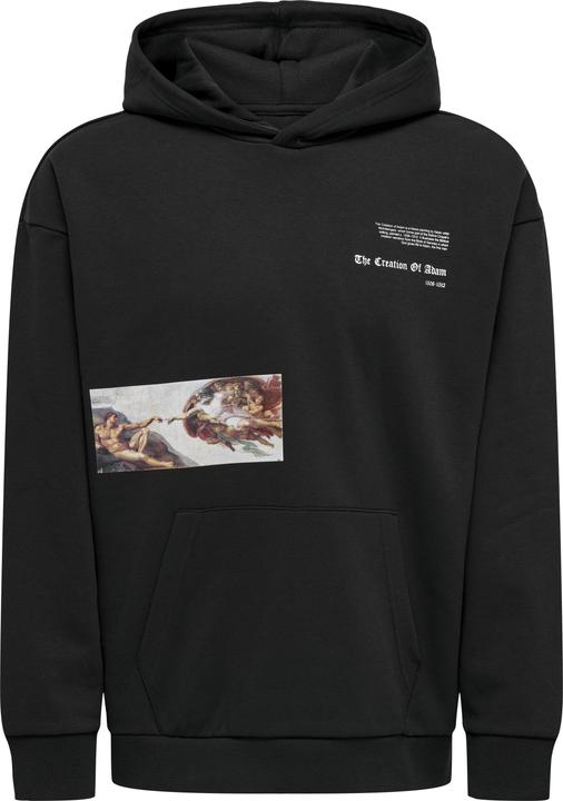 Produktbild Only & Sons Onsapoh Life Rlx Sweat Hoodie (L)