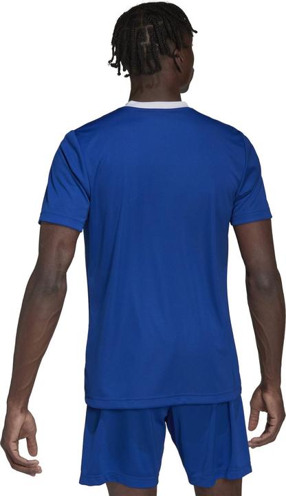 Produktbild adidas Entrada 22 Fussballtrikot Herren (M)