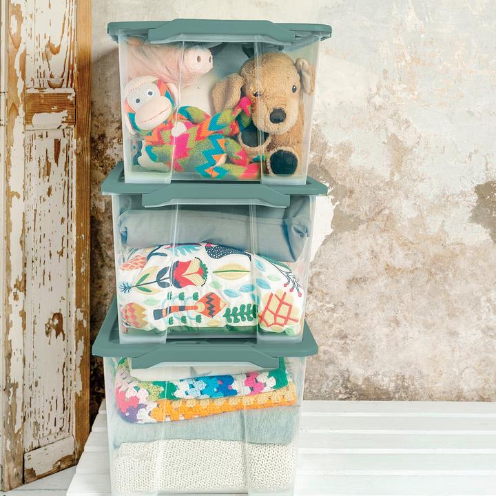Image du produit Rotho Evo Safe (59 x 39.5 x 28 cm, 44 l)
