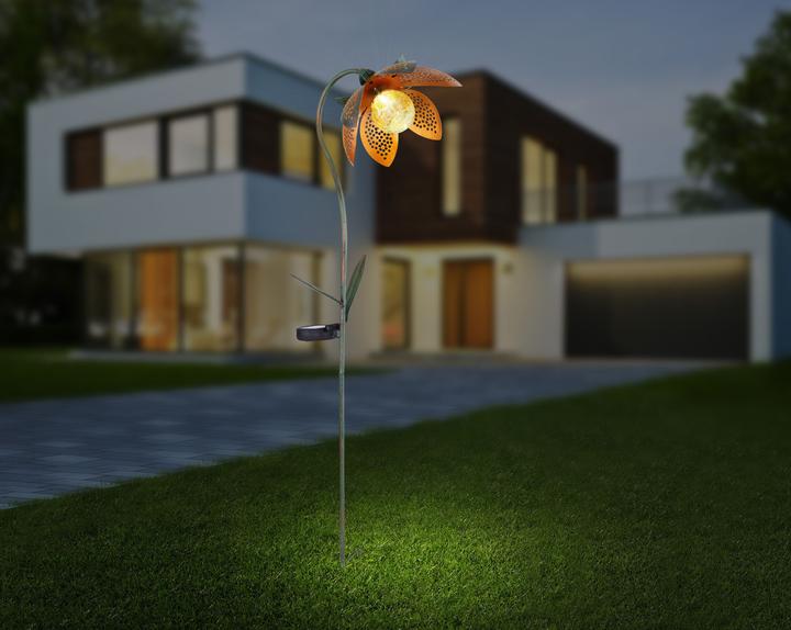 Actual product image Globo Solar light (IP44)