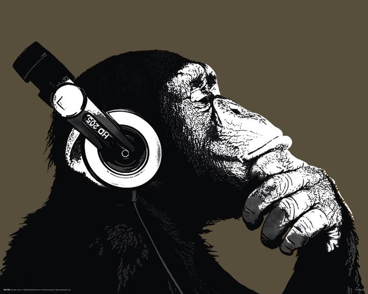 Immagine prodotto Eibert Visual Lo stereo Chimp (40 x 50 cm)