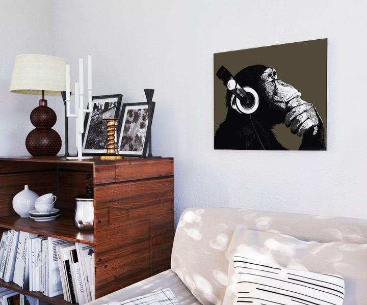 Immagine prodotto Eibert Visual Lo stereo Chimp (40 x 50 cm)