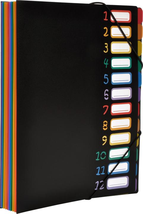 Produktbild Viquel Organisationsmappe (A4, 1x)