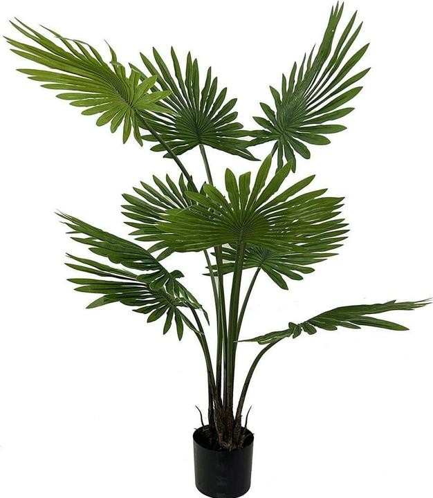 Image du produit present time Palm (108 cm)