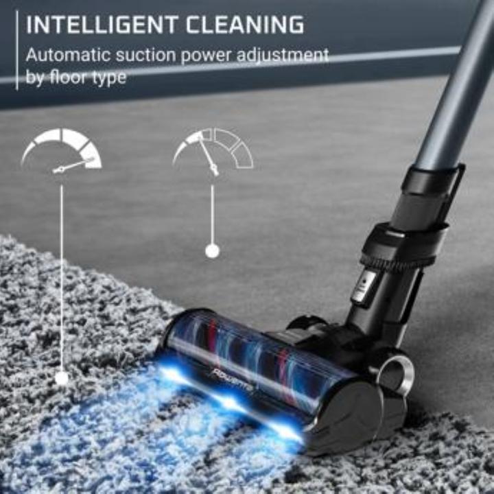 Actual product image Rowenta XForce Flex 16.60