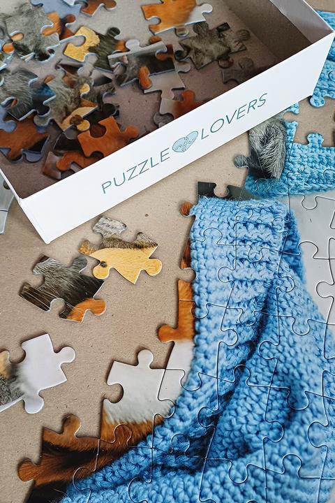 Actual product image Selecta Spielzeug Cute kitten and sleepy dog jigsaw puzzle, 100 pieces. (100 pieces)