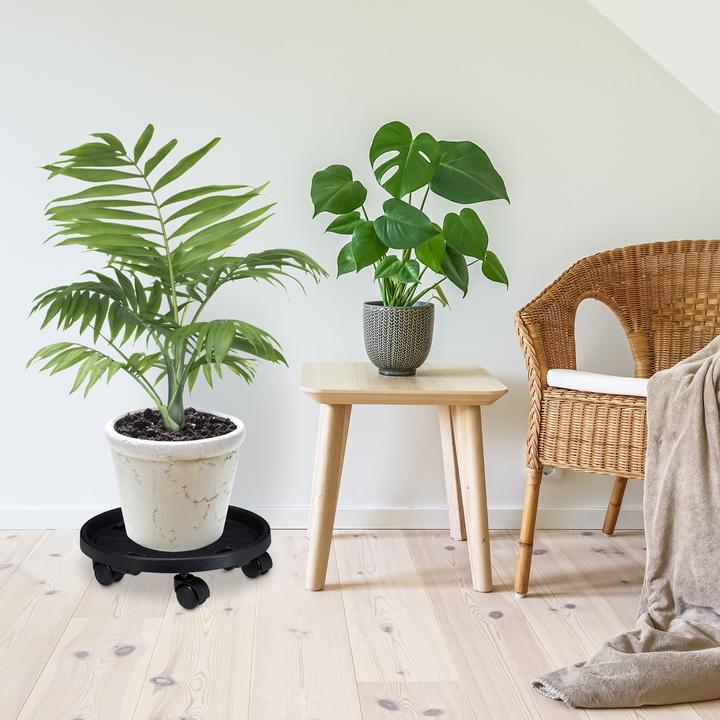 Image du produit Relaxdays Pflanzenroller