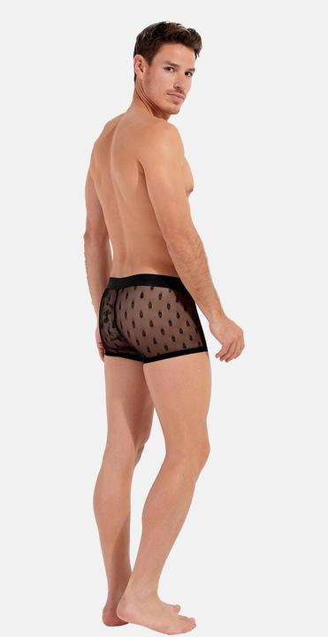 Immagine prodotto HOM Trunk Dark (L, Confezione singola)