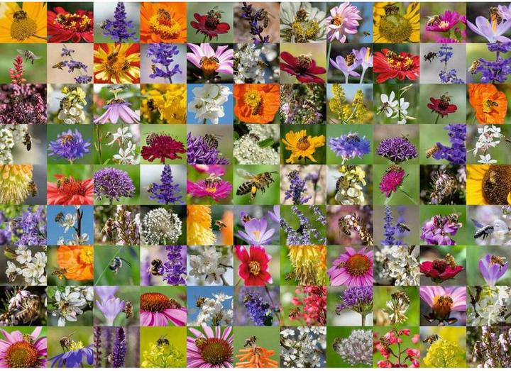 Actual product image Ravensburger 99 Bees (1000 pieces)